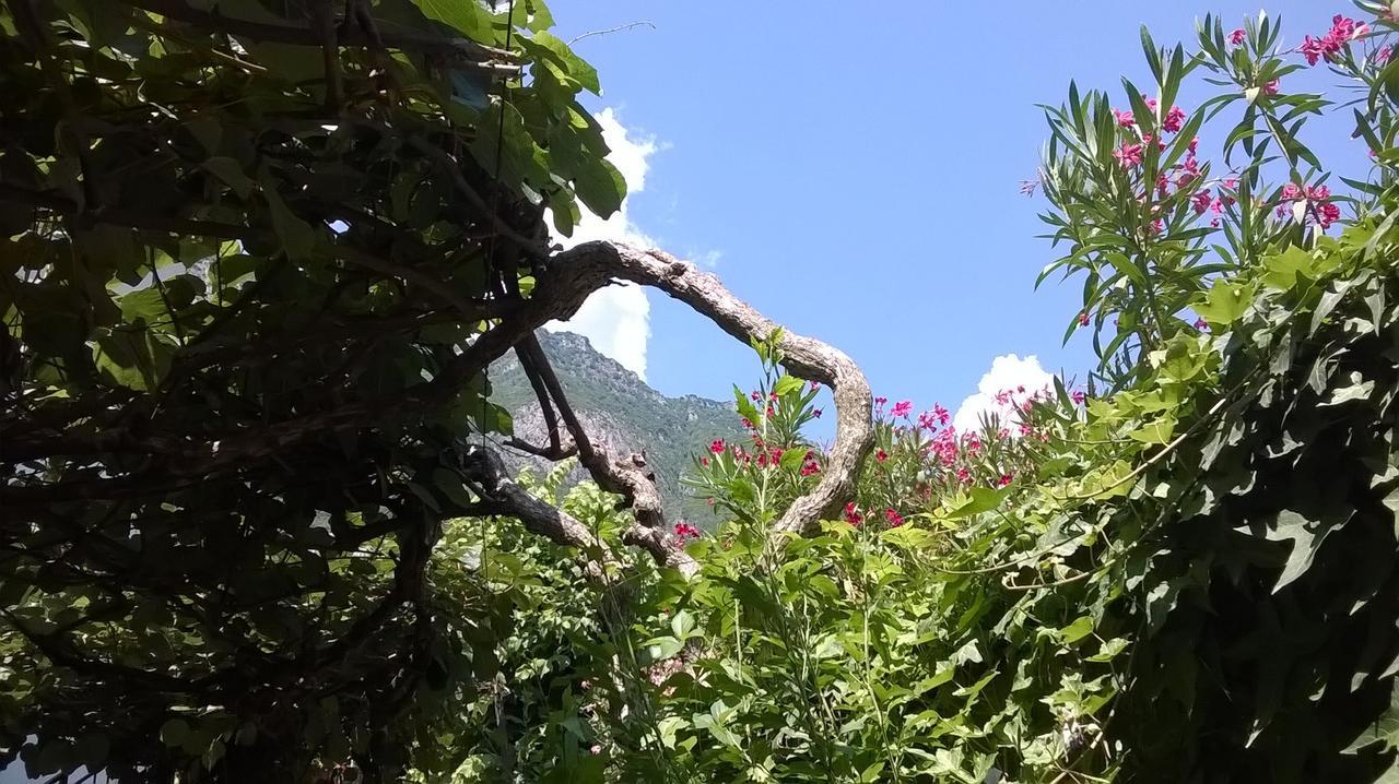 Albergo Sangalli Boario Terme Dış mekan fotoğraf